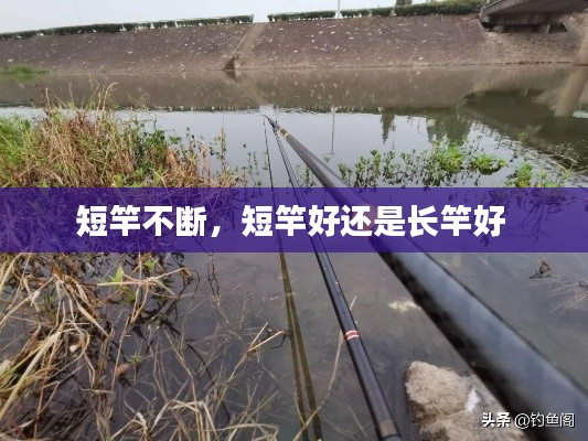 短竿不断，短竿好还是长竿好 
