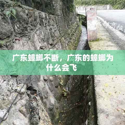 宵衣旰食 第4页