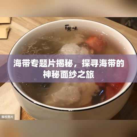 海带专题片揭秘，探寻海带的神秘面纱之旅
