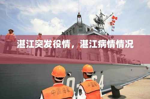 湛江突发役情，湛江病情情况 