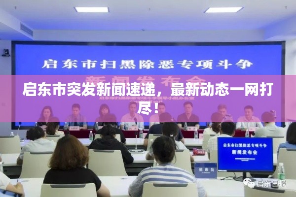 启东市突发新闻速递,最新动态一网打尽!