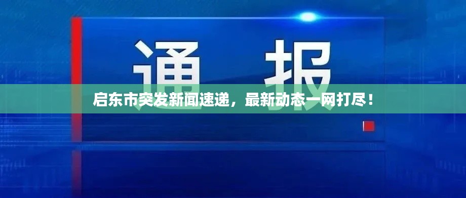 启东市突发新闻速递,最新动态一网打尽!