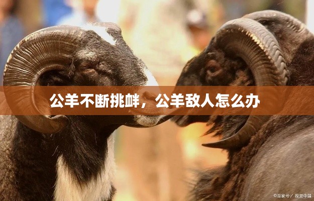 公羊不断挑衅，公羊敌人怎么办 