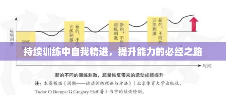 持续训练中自我精进，提升能力的必经之路