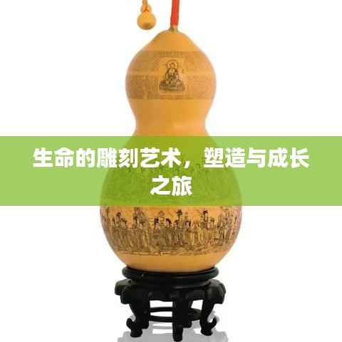 鞭驽策蹇 第5页