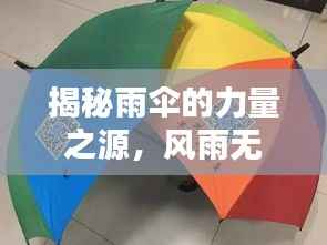揭秘雨伞的力量之源，风雨无阻的秘密揭秘！