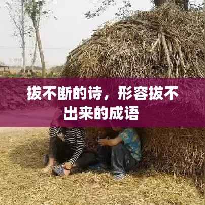 拔不断的诗,形容拔不出来的成语