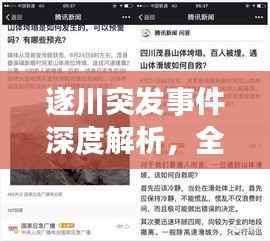 遂川突发事件深度解析，全方位揭示事件真相