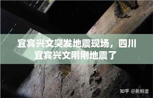 举步如飞 第4页