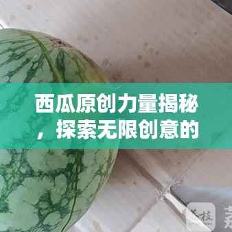 西瓜原创力量揭秘，探索无限创意的无限可能
