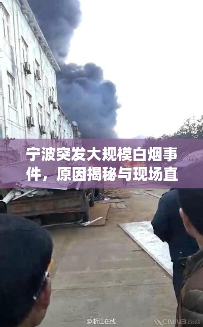 宁波突发大规模白烟事件，原因揭秘与现场直击