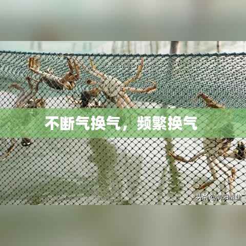 不断气换气，频繁换气 