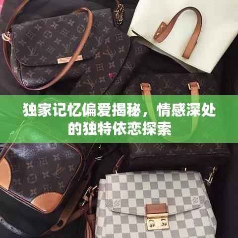 独家记忆偏爱揭秘，情感深处的独特依恋探索