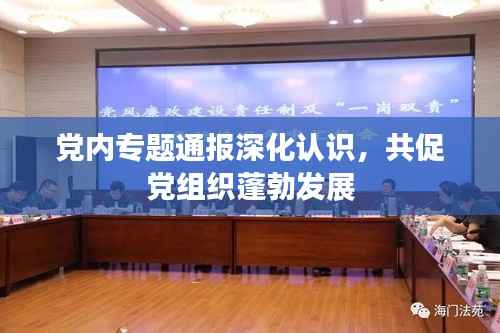 党内专题通报深化认识，共促党组织蓬勃发展