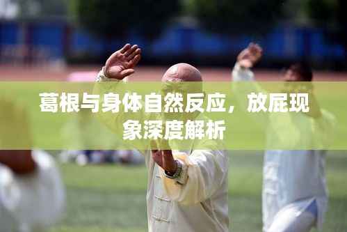 葛根与身体自然反应，放屁现象深度解析