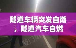 隧道车辆突发自燃，隧道汽车自燃 