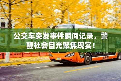 公交车突发事件瞬间记录，警醒社会目光聚焦现实！