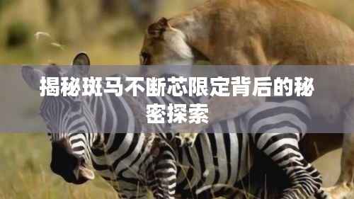 揭秘斑马不断芯限定背后的秘密探索