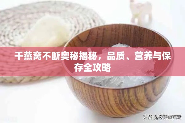 干燕窝不断奥秘揭秘，品质、营养与保存全攻略