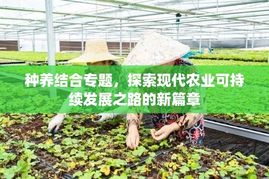 普度众生 第4页