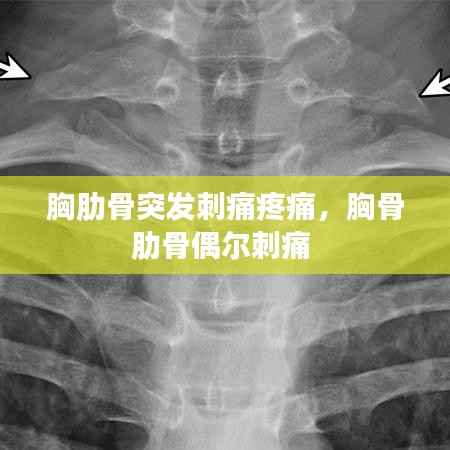 胸肋骨突发刺痛疼痛，胸骨肋骨偶尔刺痛 