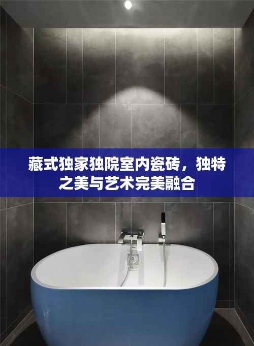 藏式独家独院室内瓷砖，独特之美与艺术完美融合