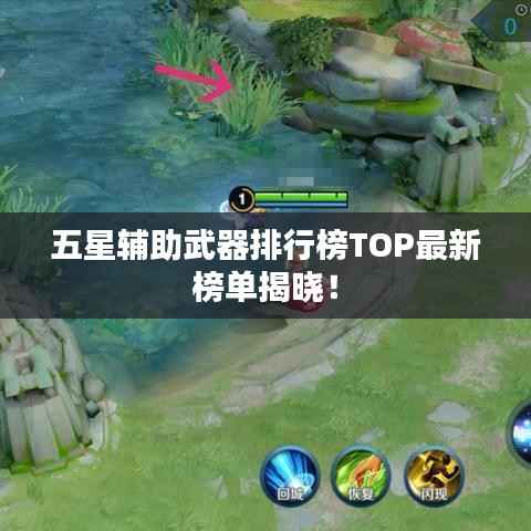 五星辅助武器排行榜TOP最新榜单揭晓！