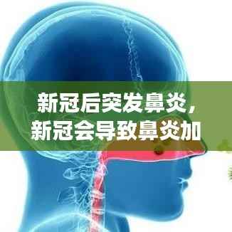 空谷幽兰 第4页