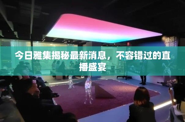 今日雅集揭秘最新消息，不容错过的直播盛宴