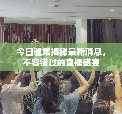 今日雅集揭秘最新消息,不容错过的直播盛宴