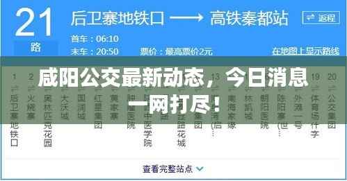 发奋图强 第5页