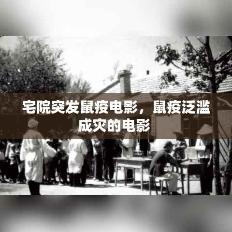 宅院突发鼠疫电影,鼠疫泛滥成灾的电影