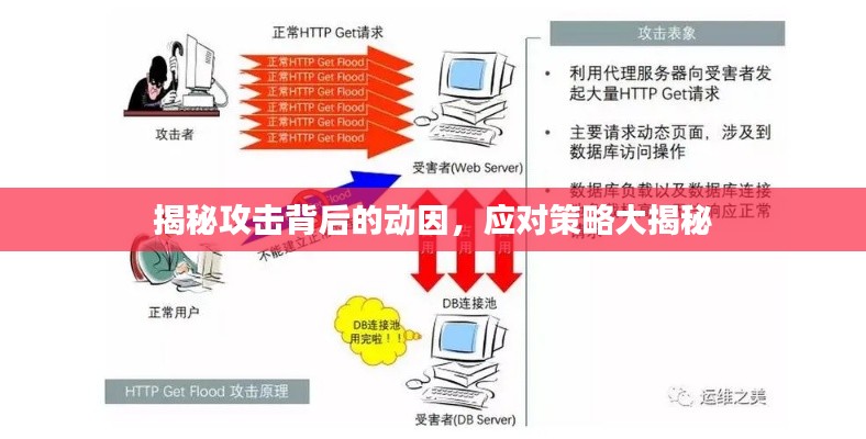 揭秘攻击背后的动因，应对策略大揭秘