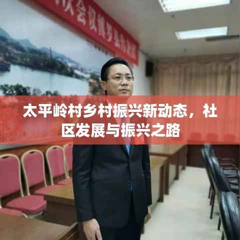 太平岭村乡村振兴新动态，社区发展与振兴之路