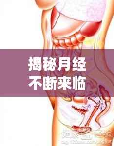 揭秘月经不断来临背后的秘密，女性生理周期深度解析