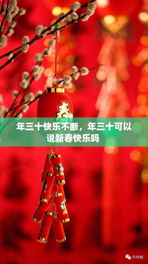 年三十快乐不断，年三十可以说新春快乐吗 