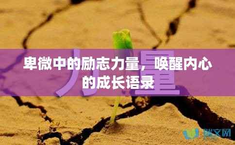 落落大方 第4页