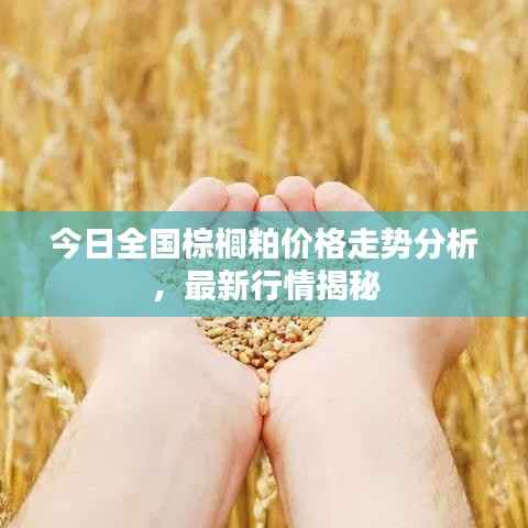 今日全国棕榈粕价格走势分析，最新行情揭秘