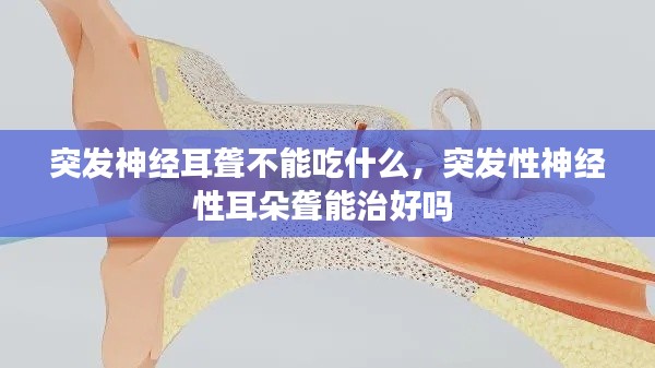 突发神经耳聋不能吃什么，突发性神经性耳朵聋能治好吗 