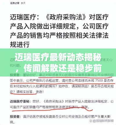 迈瑞医疗最新动态揭秘，传闻解散还是稳步前行？