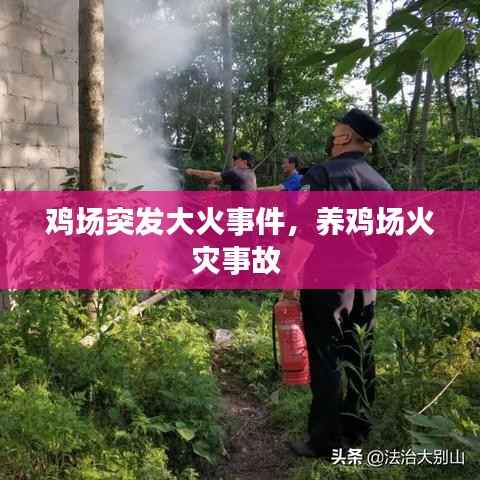 鸡场突发大火事件，养鸡场火灾事故 