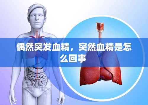 张灯结彩 第5页