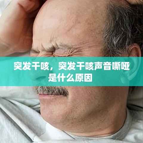 穷鸟入怀 第5页