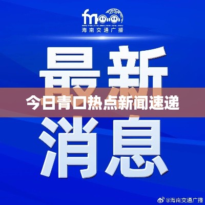 今日青口热点新闻速递