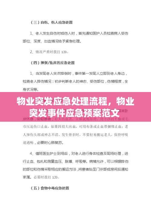 物业突发应急处理流程，物业突发事件应急预案范文 