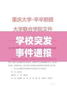 学校突发事件通报，学校突发事件工作预案及处置规程 