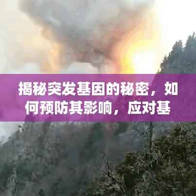 揭秘突发基因的秘密，如何预防其影响，应对基因突变的挑战策略