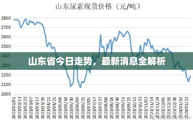 山东省今日走势，最新消息全解析