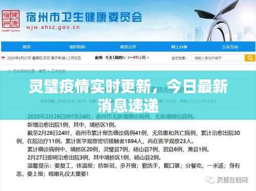 灵璧疫情实时更新，今日最新消息速递