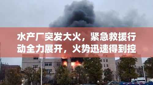 水产厂突发大火，紧急救援行动全力展开，火势迅速得到控制